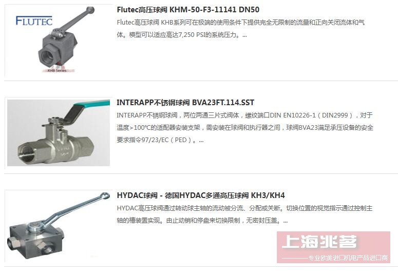 EFFEBI 球阀 EFFEBI 0121N5 0121N202