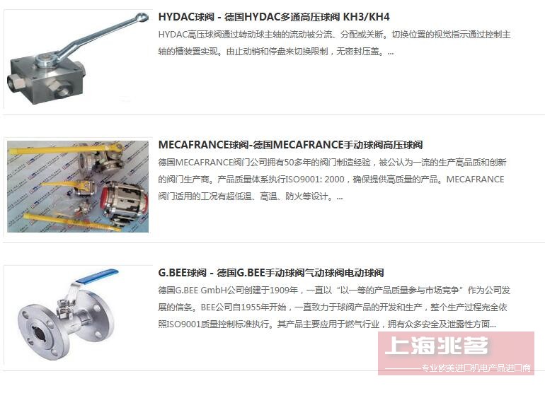 EFFEBI 球阀 EFFEBI 0121N5 0121N202