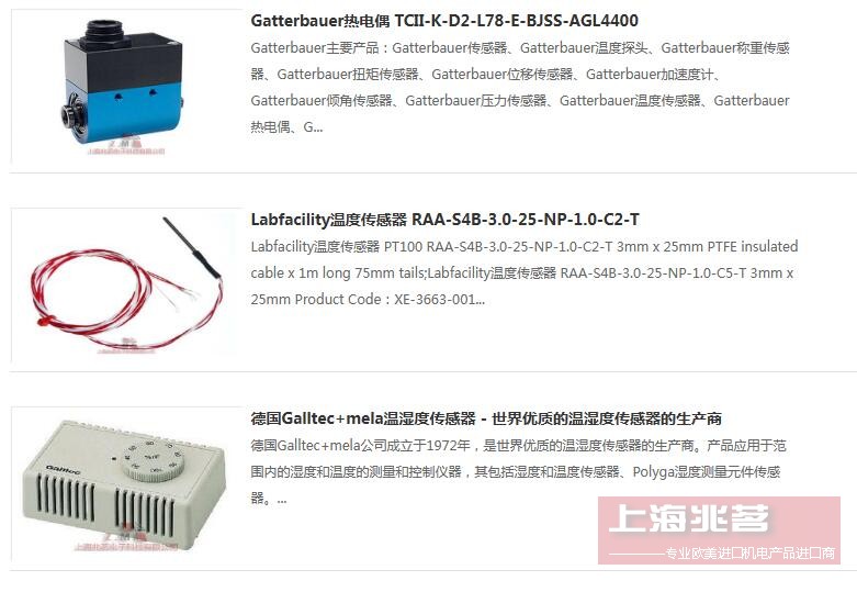 Gunther 热电偶 Guenther AB-1203-102455 2xPtRh-PtS Kl.1