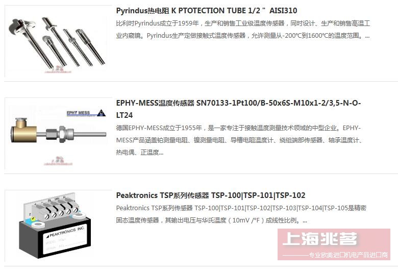 Gunther 热电偶 Guenther AB-1203-102455 2xPtRh-PtS Kl.1