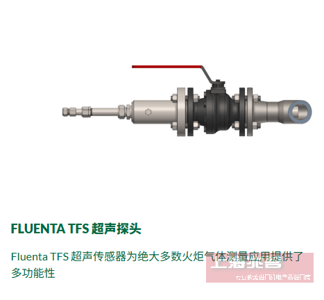 FLUENTA 火炬气体流量计 超声波传感器