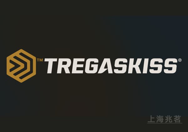 TREGASKISS 焊枪 机器人MIG焊枪