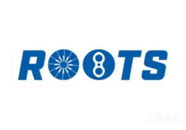 ROOTS 风机 罗茨鼓风机