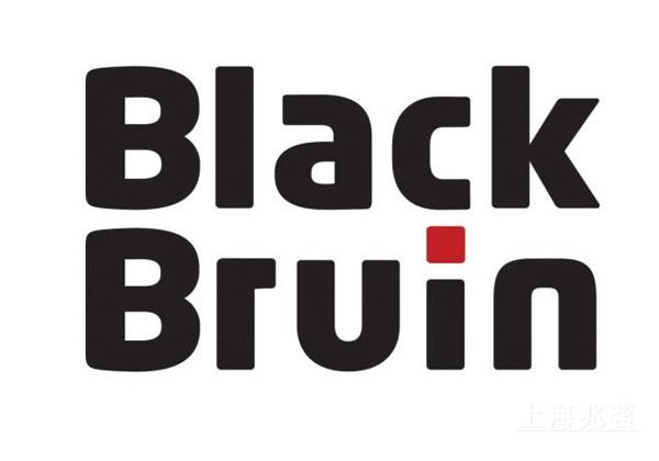 Black Bruin 液压马达 液压转子 液压阀