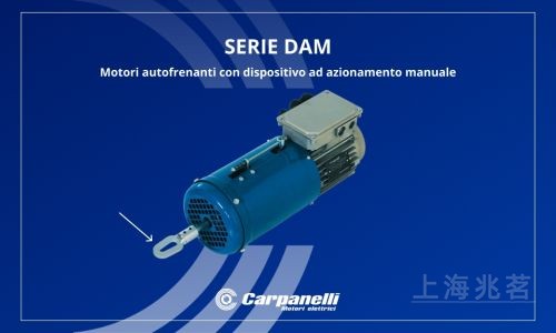 Carpanelli 电机：制动电机 异步电机