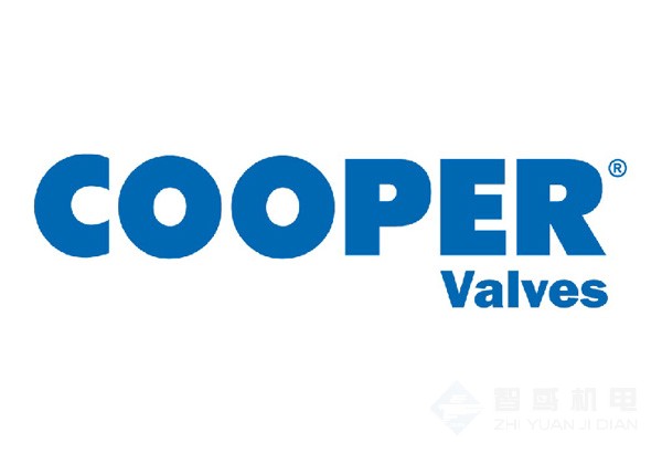 Cooper Valves 闸阀 截止阀 止回阀 球阀