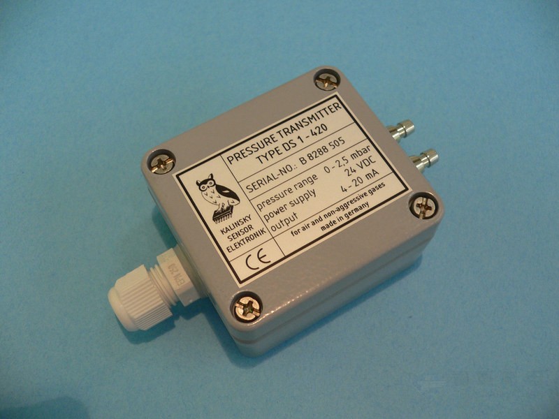Kalinsky Sensor Elektronik DS1/DS2 变送器