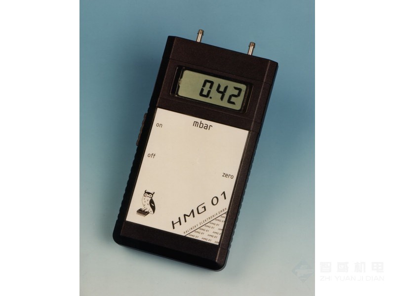 Kalinsky Sensor Elektronik DS1/DS2 变送器