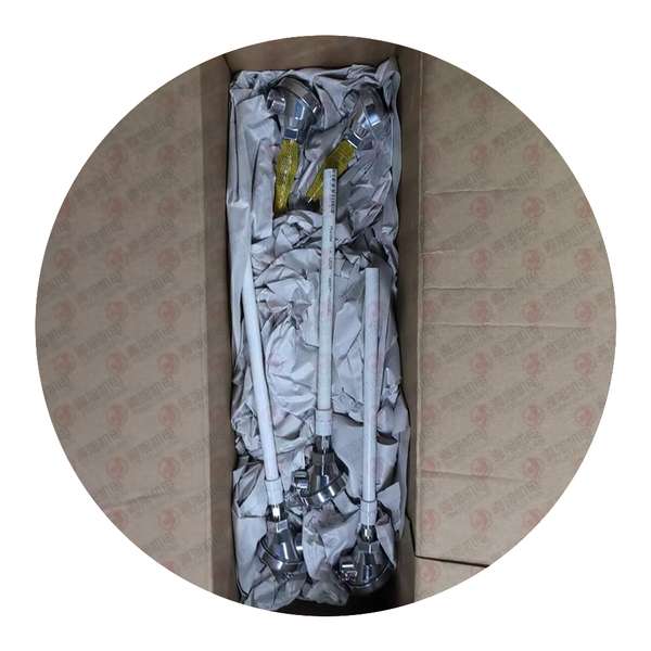 AEAUTEL 压力控制器