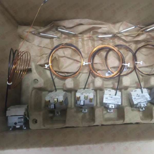SCS CTM048-21 ESD计数器
