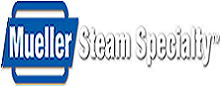 Mueller steam-美国Mueller过滤器/止回阀/蝶阀