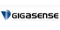 Gigasense AB - 瑞典GIGASENSE测力计/称重传感器