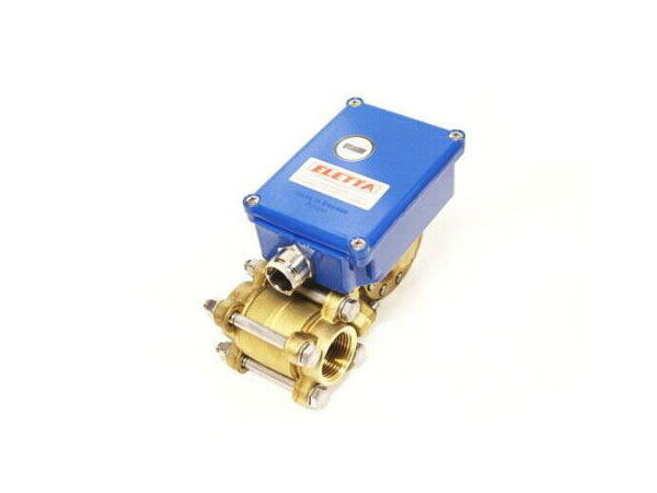 Eletta流量开关V1-GL25 24-48L/M